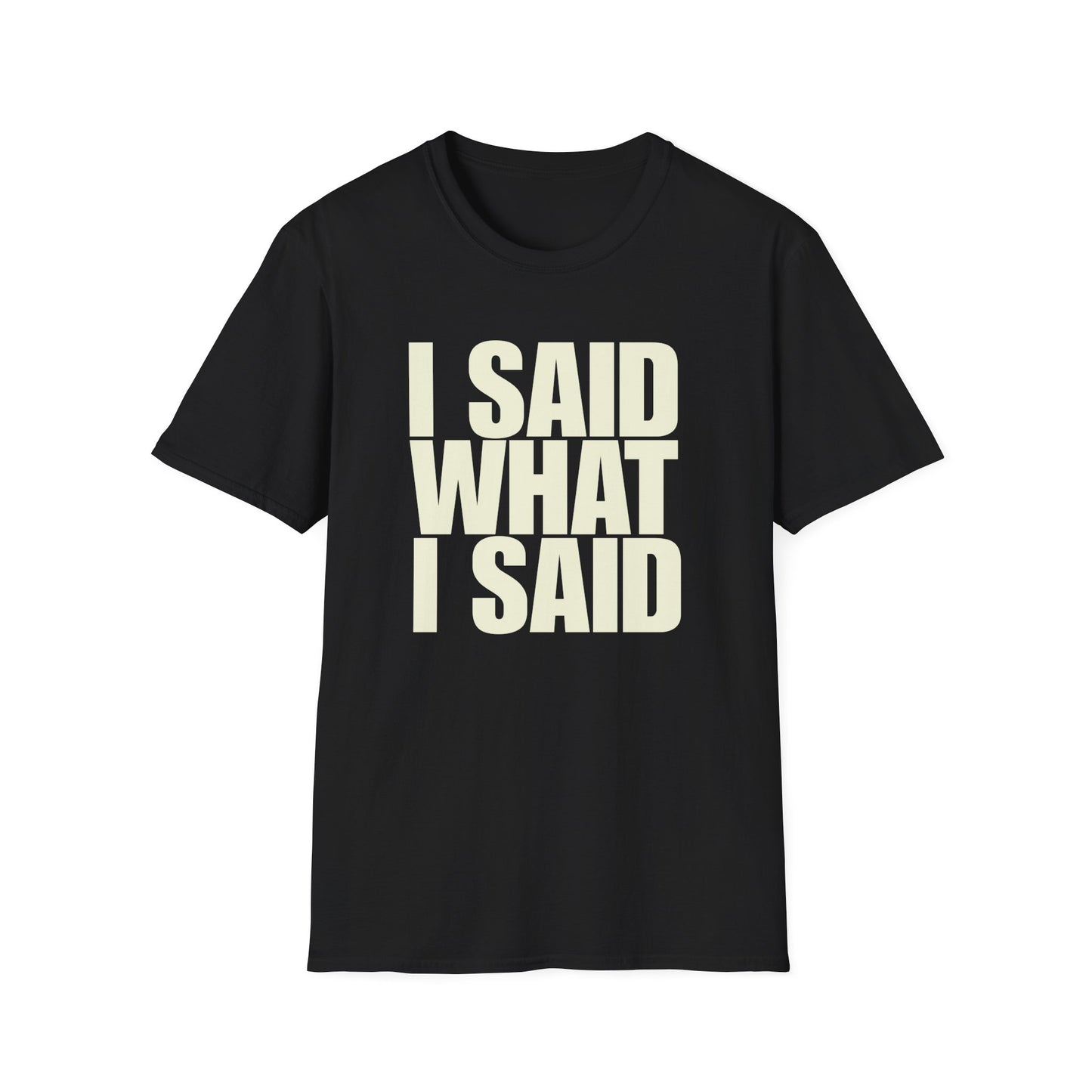 I Said What I Said T-Shirt
