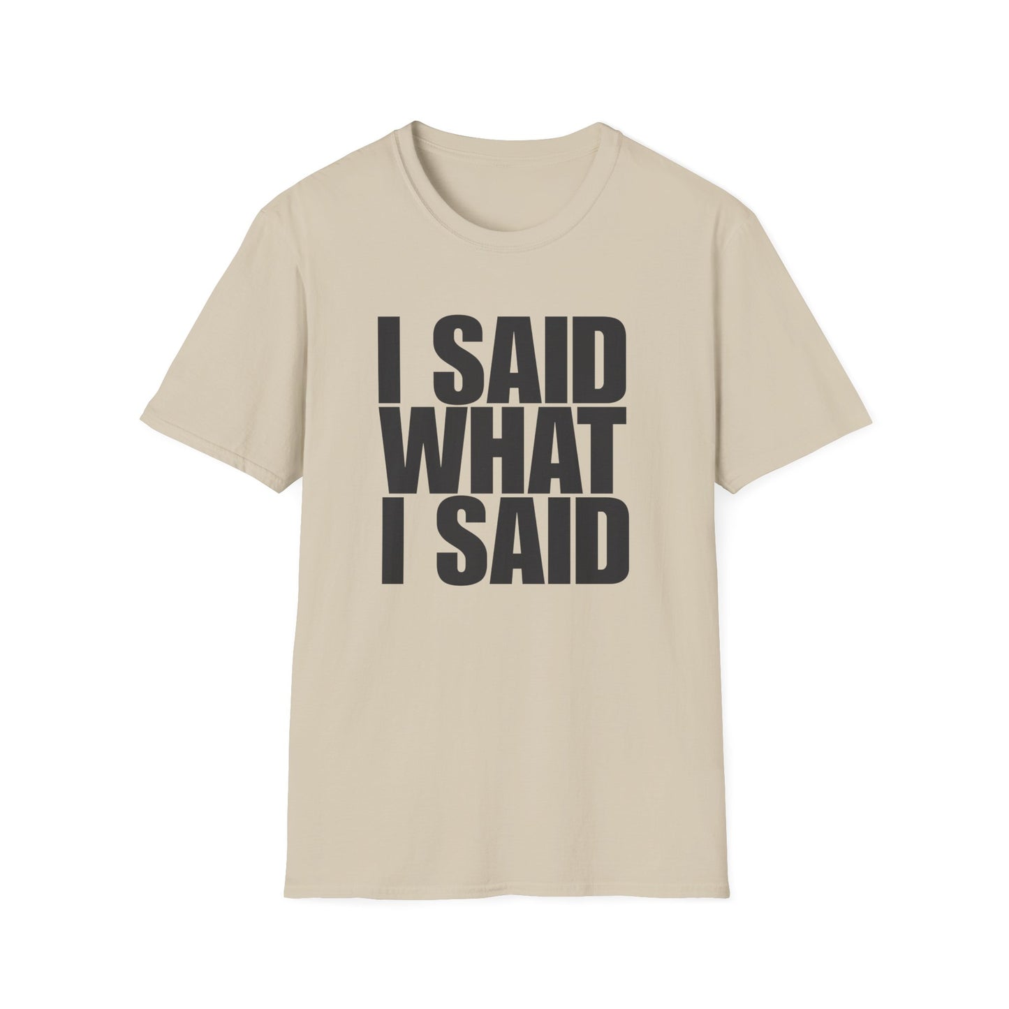 I Said What I Said T-Shirt
